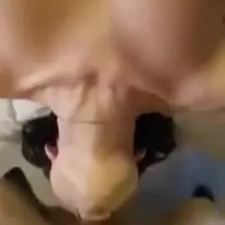 Tattoo slut sucks good dick and gets fucked hard